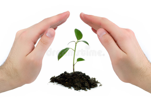 Socrates (Concepto de la Vida)