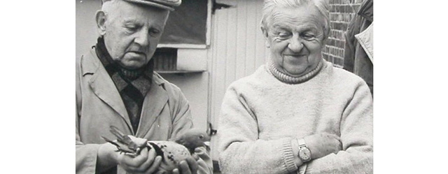 Los hermanos Janssen