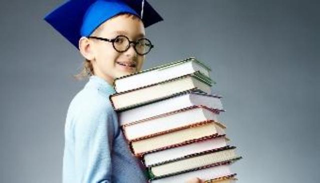 LEY ORGÁNICA (1942)