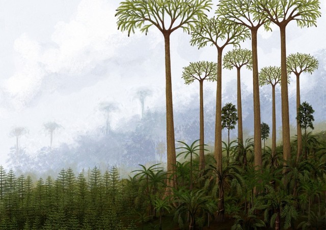 Karboni illustratsioon