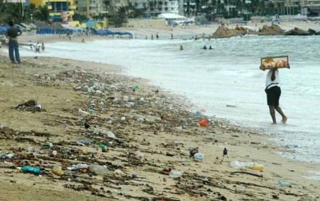 Sistema Nacional de Información sobre la Calidad del Agua en las Playas Mexicanas