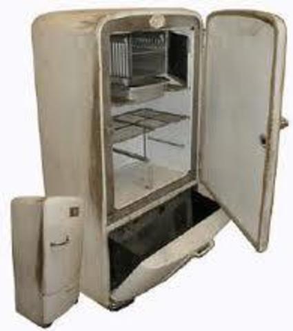 First home fridge