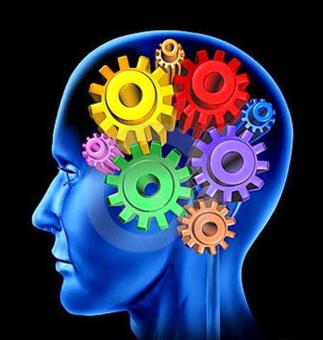 Terry y Franklin (1985:46)