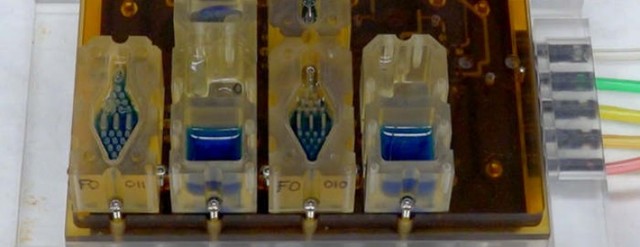 Evatar, un aparato de reproducción femenino artificial capaz de reproducir el ciclo menstrual