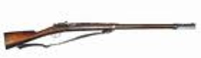 World War One begins