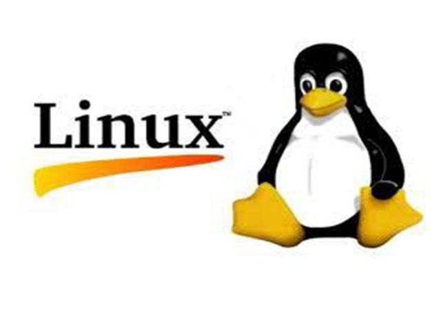 1991: Surge o Linux, baseado no Unix; MPEG faz o JPEG “mexer-se”.