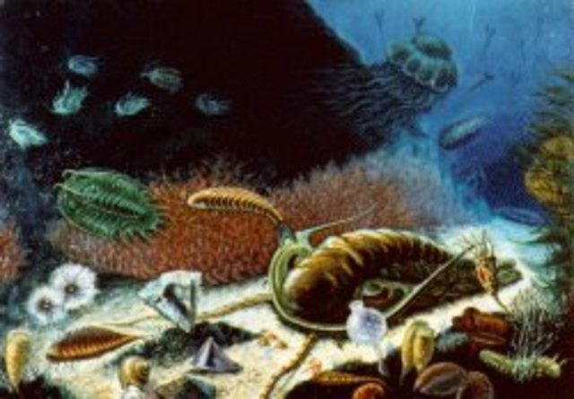 *Kombrium (542mln a.t)