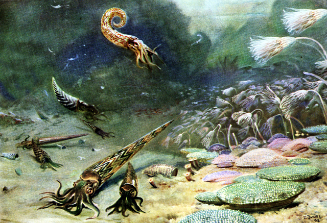 *Silur (443 mln a.t)