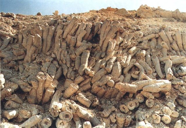 *Kriit (145mln a. t)