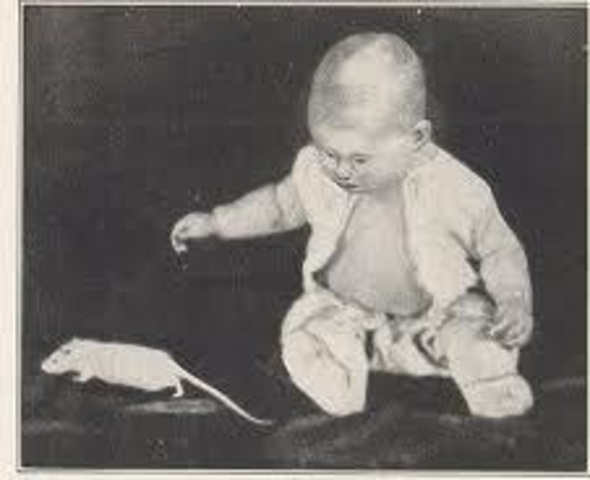 Procesos sensoriales en los animales.