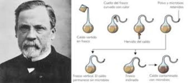 aporto la pasteurizacion