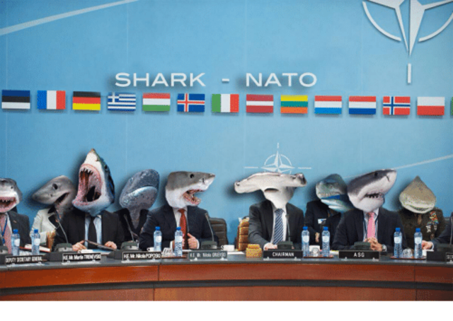 NATO (North Atlantic Treaty Organisation)