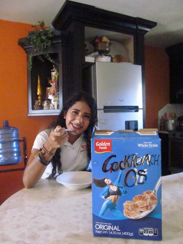 Entre a mi ultimo año de preparatoria.