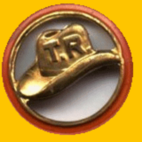 Head of Political Party