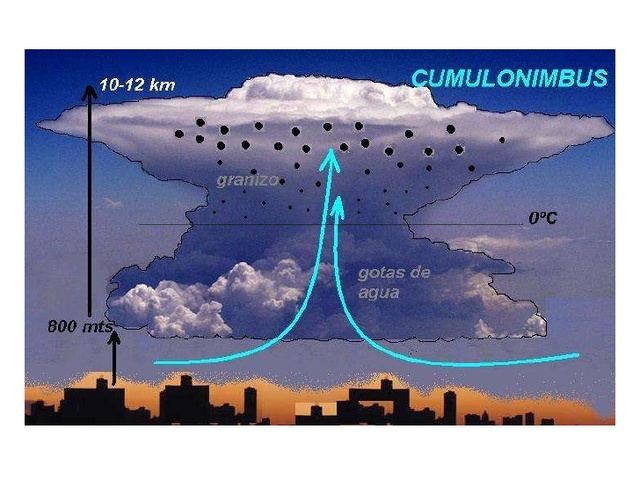 Galileo perdio el interes en estudiar medicina