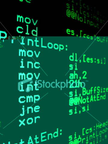 Lenguaje Ensamblador.