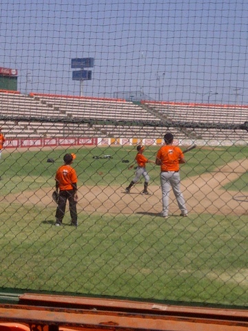 entro a una liga de beisbol pequeña
