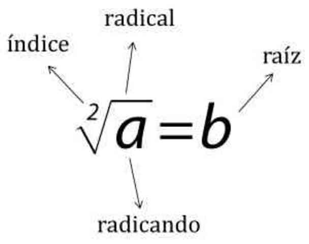 Se inventó una calculadora mecanica para las 4 operaciones basicas