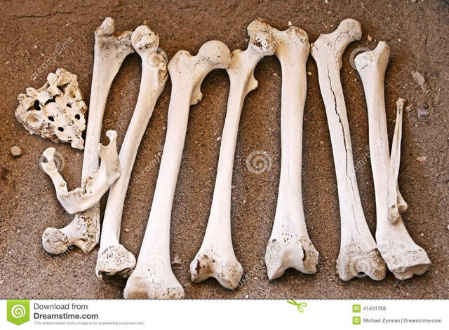 Pimeros cálculos con huesos