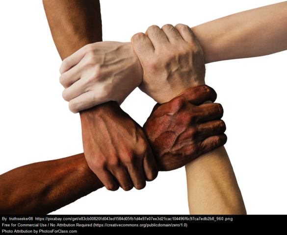 Minority enrollment increases