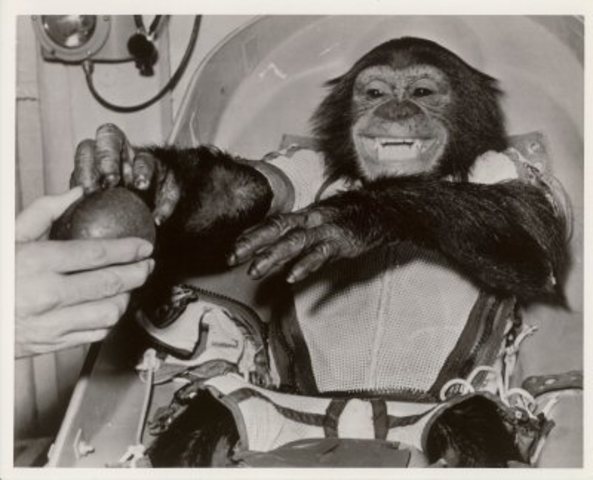First chimp in space.