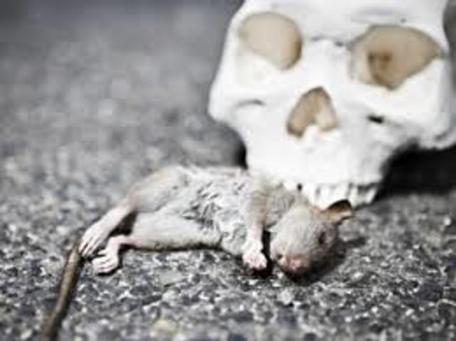 black death begins in europe