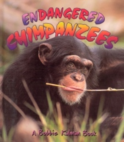 Chimps become an endangered specie.