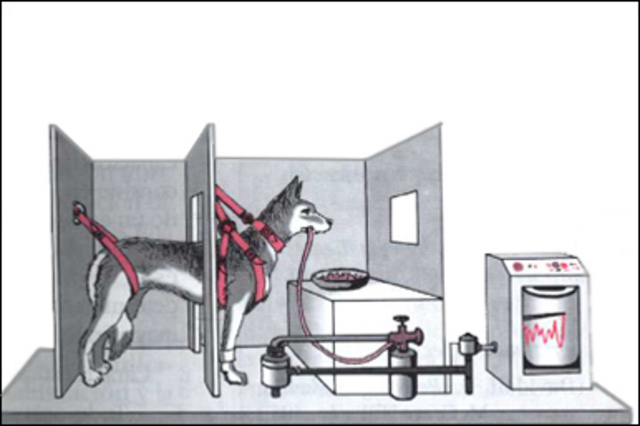 METODO DE EXPERIMENTACION CRONICA