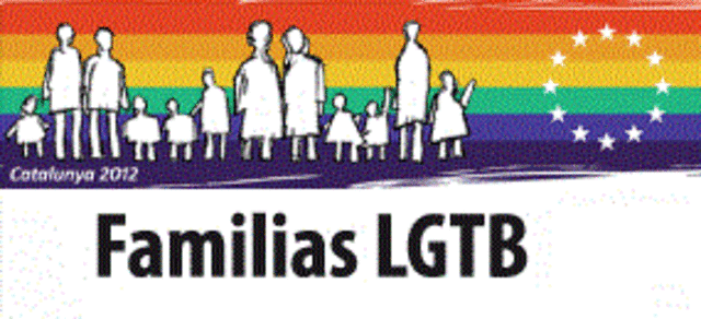 La lucha de las organizaciones LGBTI