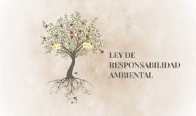 Libro Blanco responsabilidad ambiental
