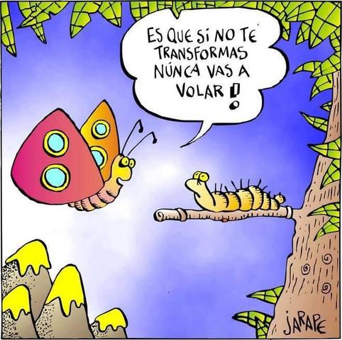 Las ciencias sociales