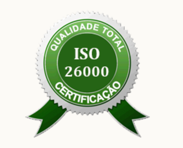 Guía de responsabilidad social (iso 26000)