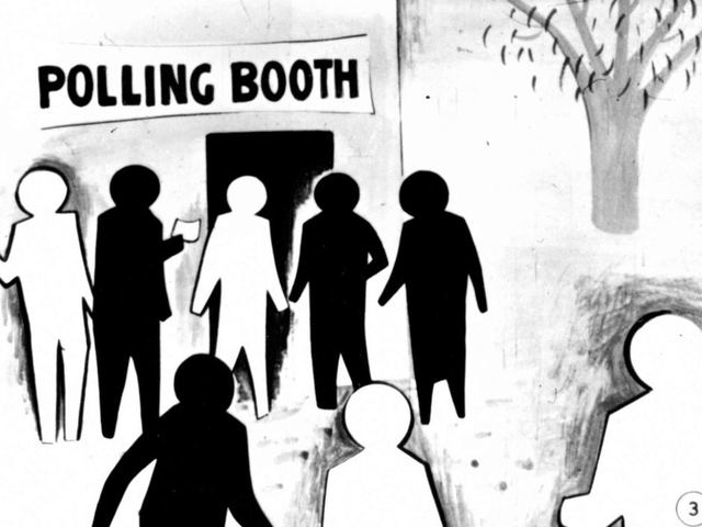 All Indigenous people are given the vote in Commonwealth elections.