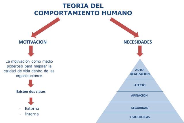 Teoria del comportamiento humano.