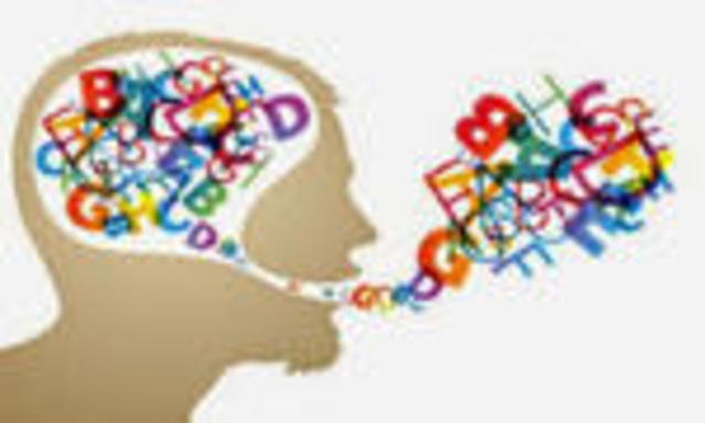 TEORIA INNATISTA DE CHOMSKY