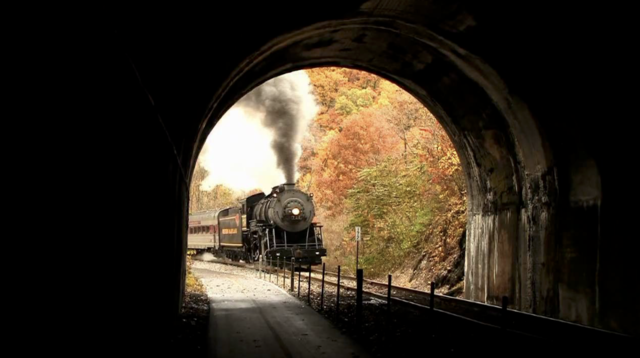 alex saves his 'sister'