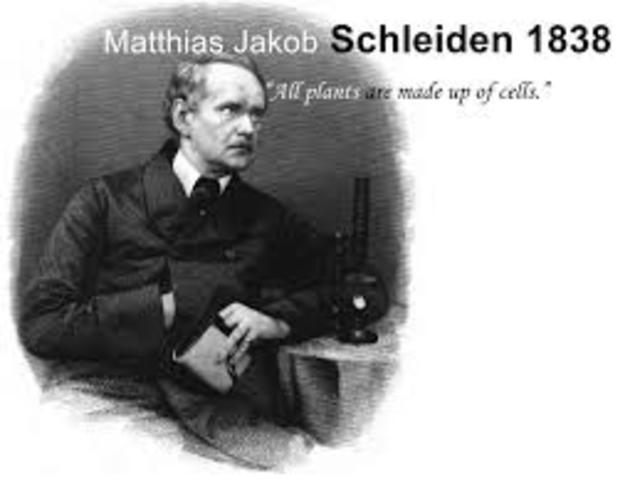 En 1838 Matthias Schleiden