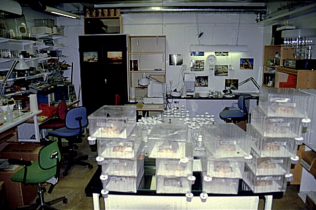 the next stage of Alex's mission