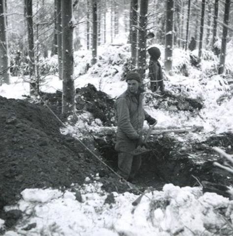 Allied Powers (dog tags)