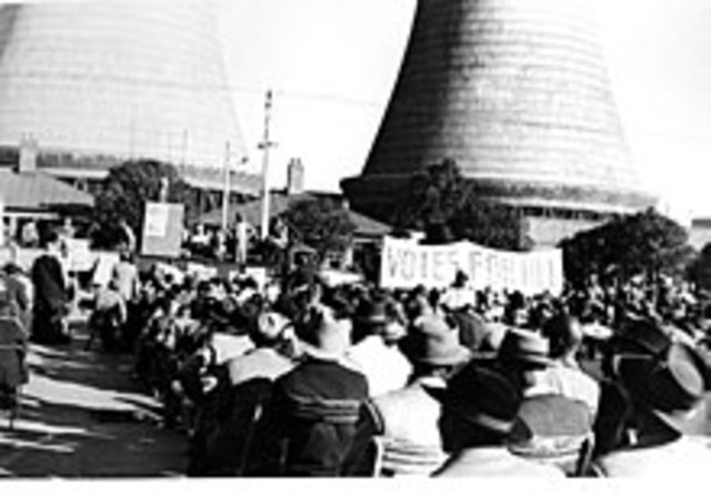 Representation of Blacks Act No. 12