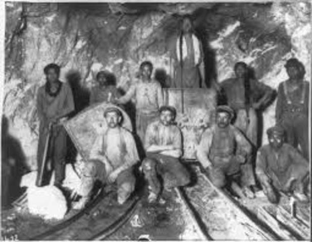 Black Labor Act No 67