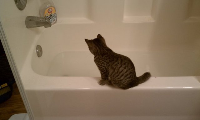 Molly discovers bath water