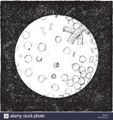 ESTUDIOS HEMATÓLOGICOS