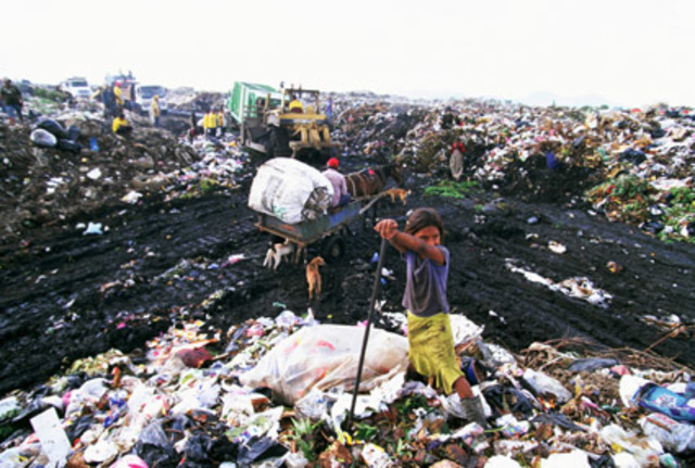 Reaparición del analfabetismo