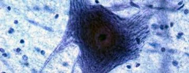 MOLECULAR ENGINEERING