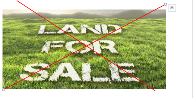 Black Laws Amendment Act No 46