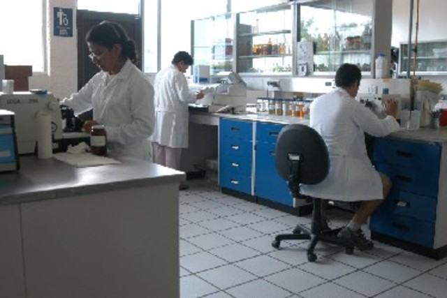 laboratorio histologico