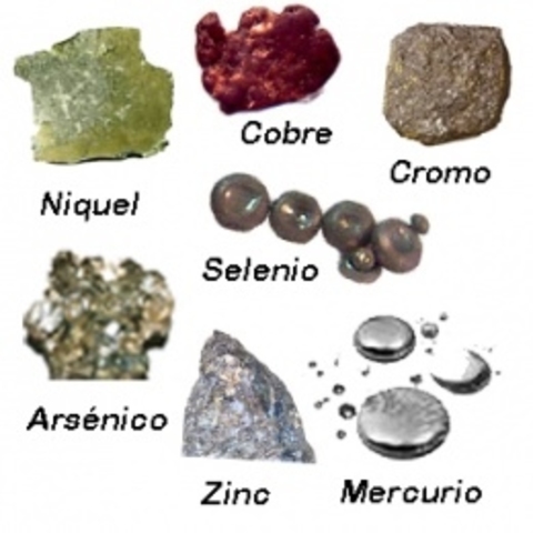 Diversificación de las exportaciones mexicanas