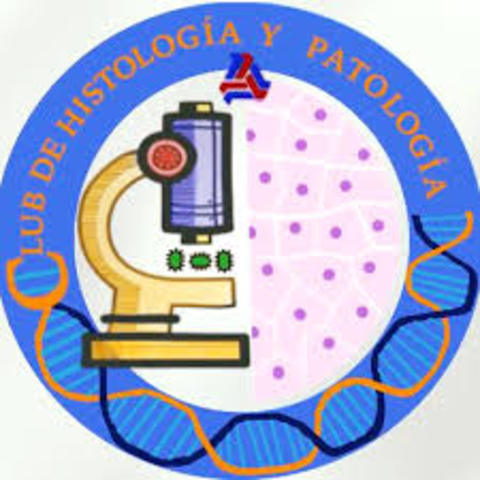 Fundación de laboratorios mas importantes