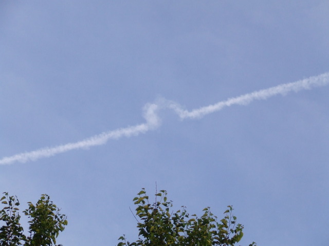 the long journey starts